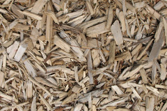 biomass boilers Lockwood